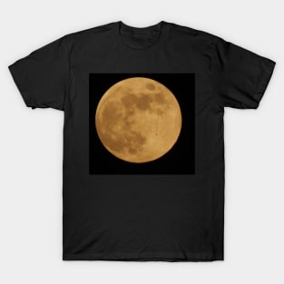 Bat on the Moon T-Shirt